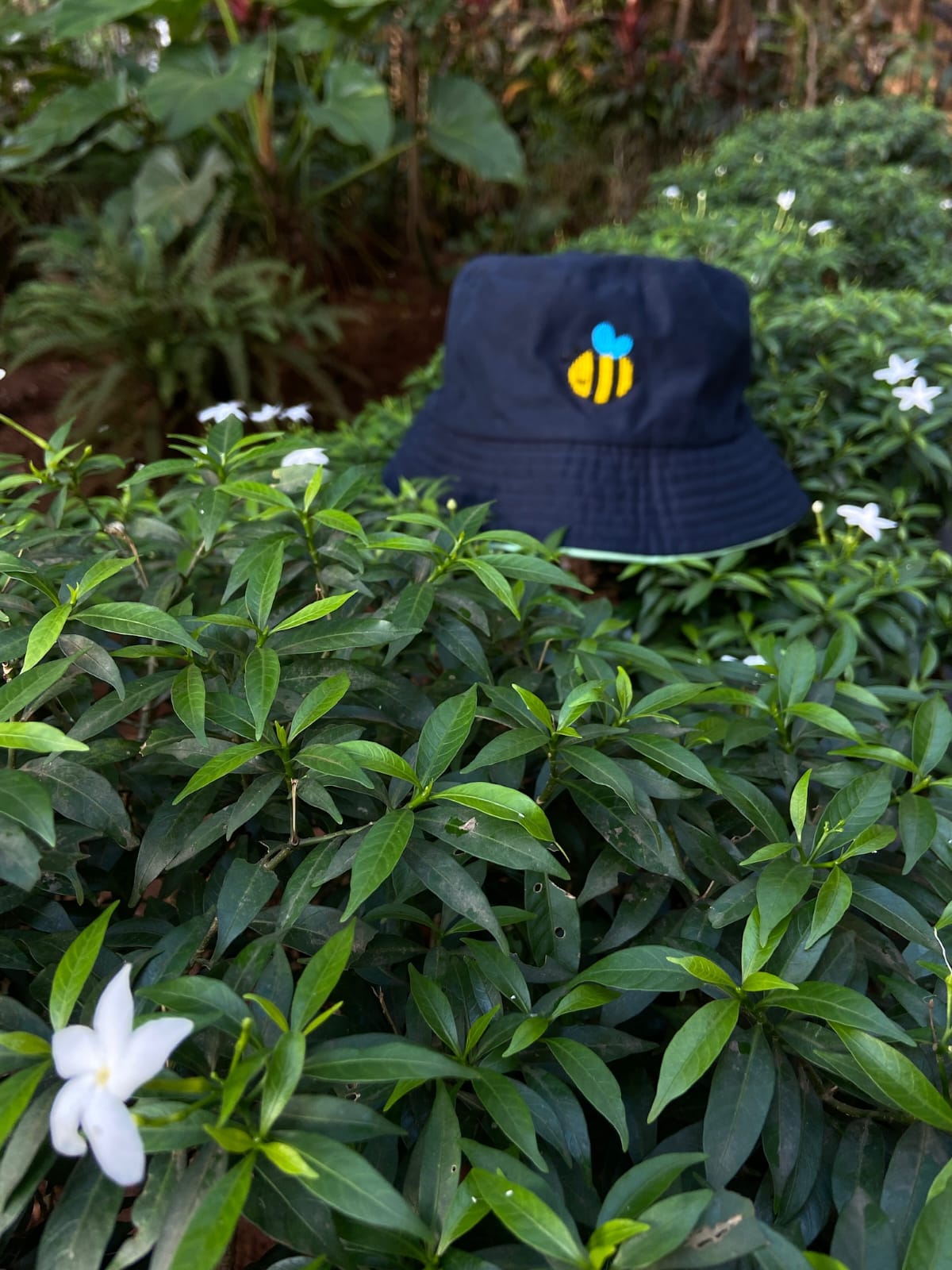 Honeybee bucket hat